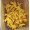 Chinese New Harvested Young Fresh Ginger